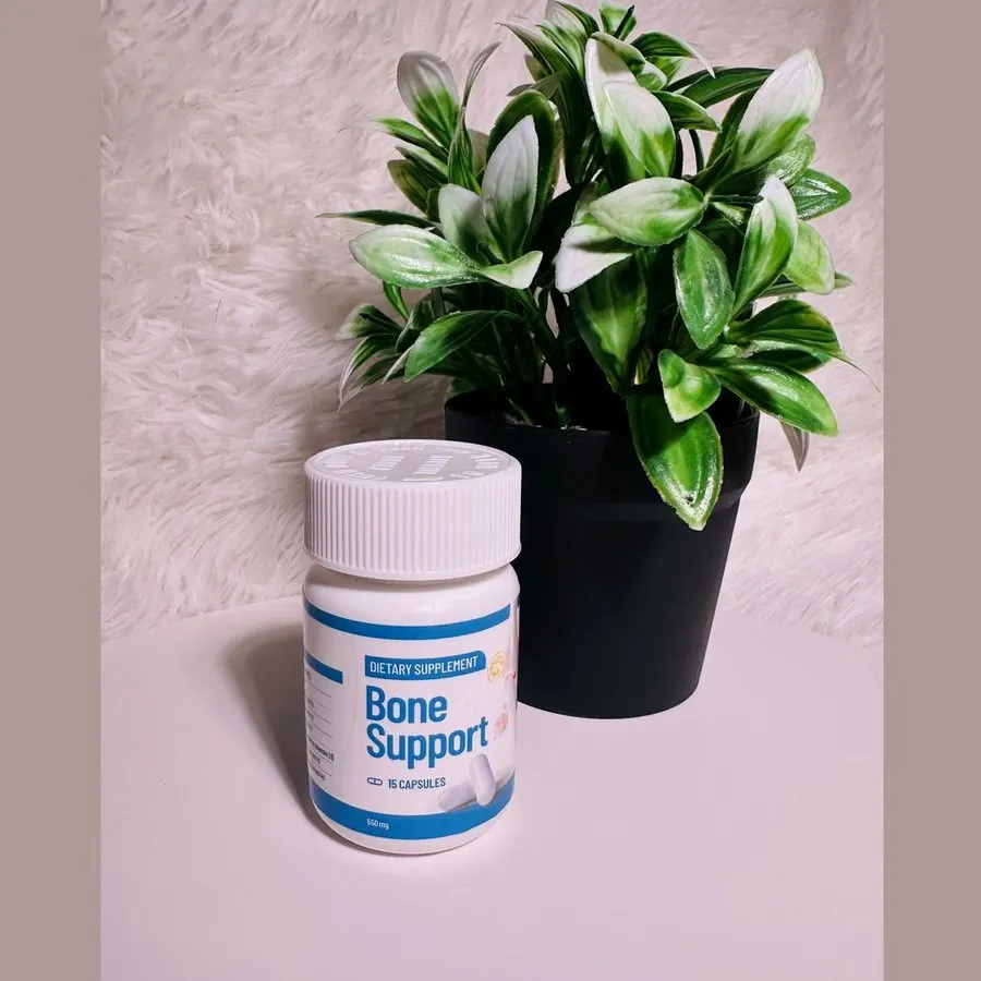 Bone Support — snapshot 2