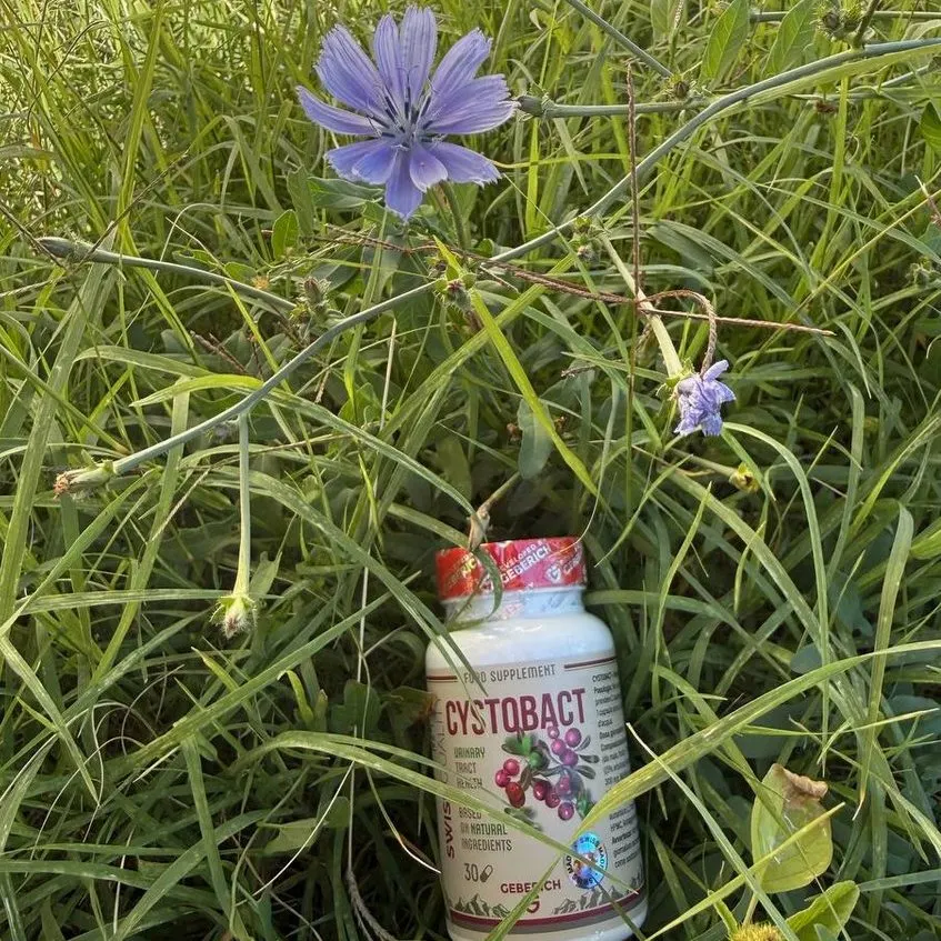 Cystobact — Bild der Packung