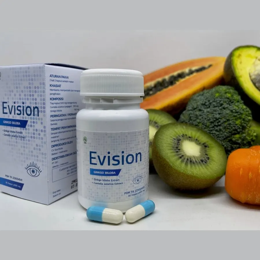 Evision — gambar 1