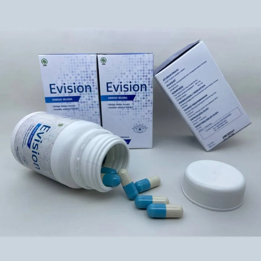 Evision — gambar 2