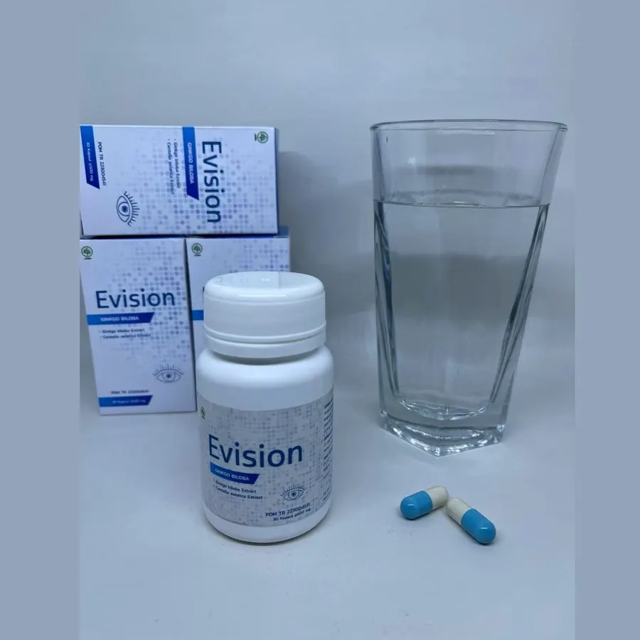 Evision — gambar 3