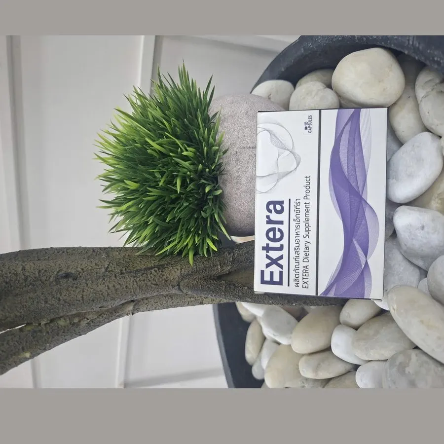 Extera — รูปถ่าย 1