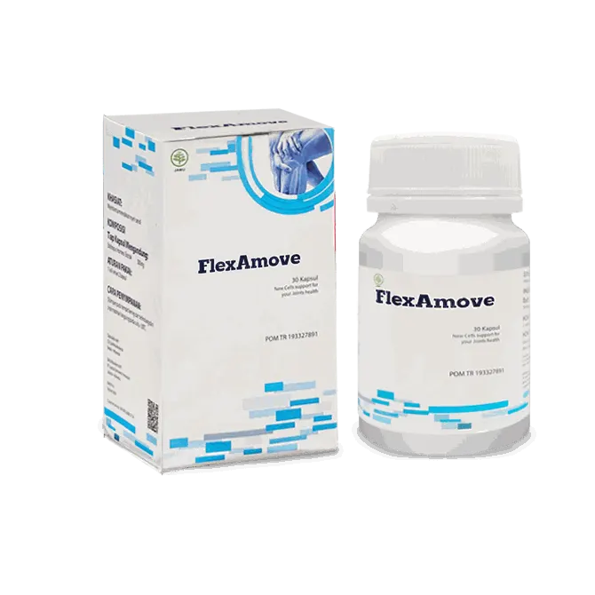 FlexAmove — gambar 2