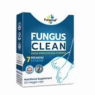 Fungonal — snapshot 2
