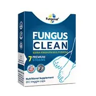Fungonal — snapshot 3