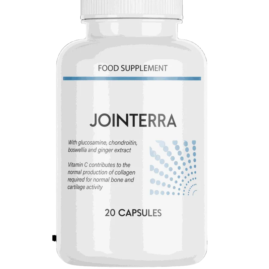 Jointerra