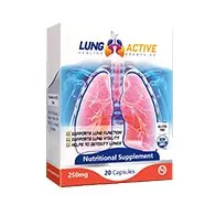 LungActive — snapshot 3