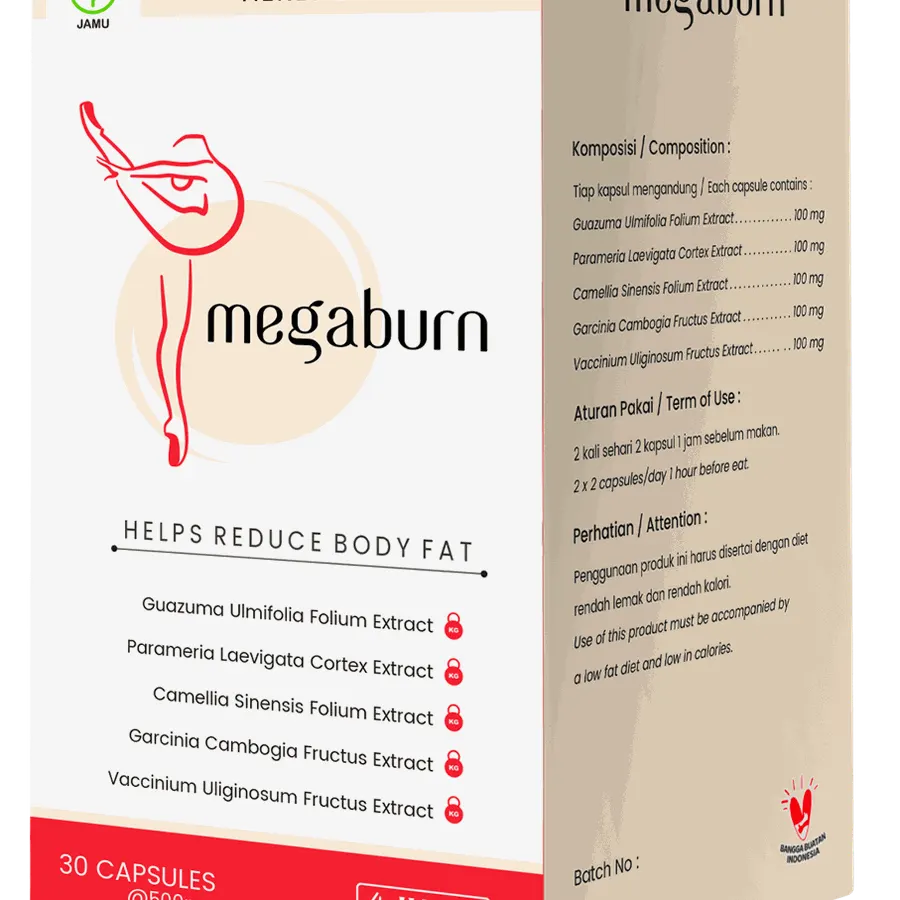 Megaburn — gambar 1