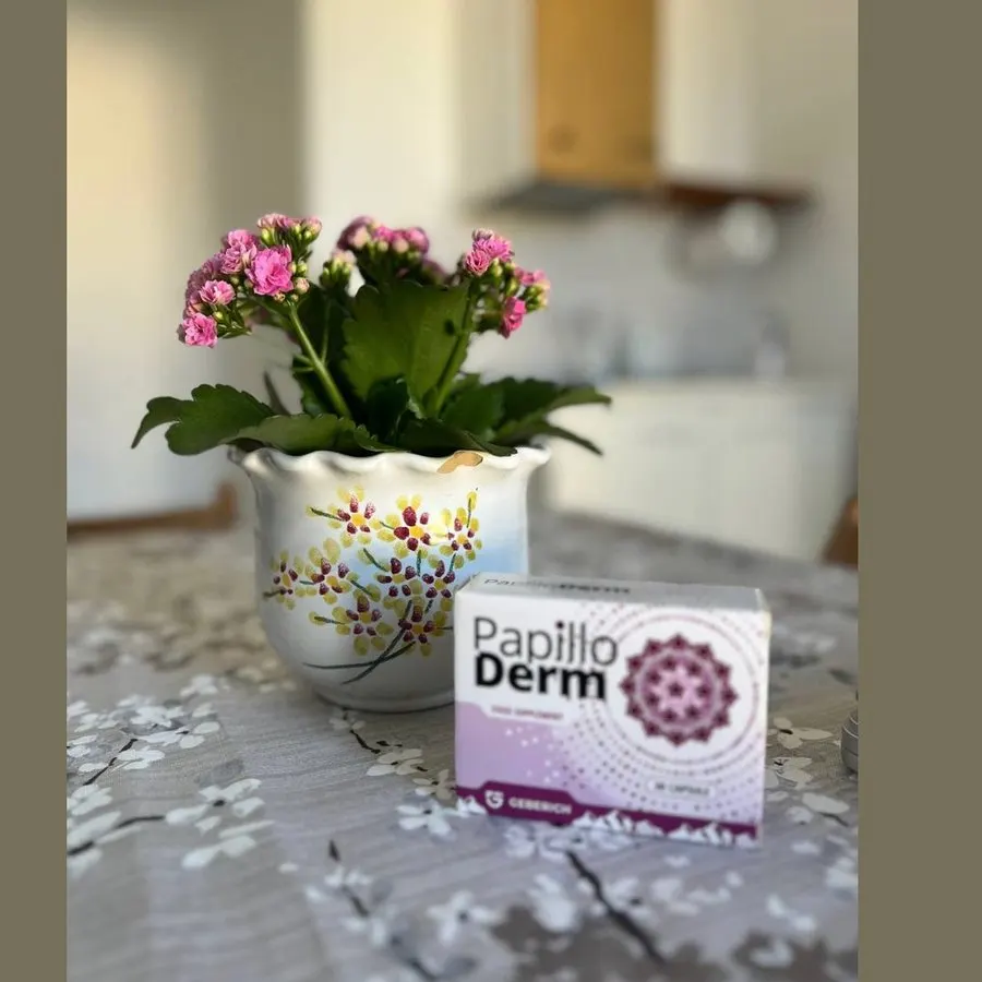 PapilloDerm — Bild der Verpackung