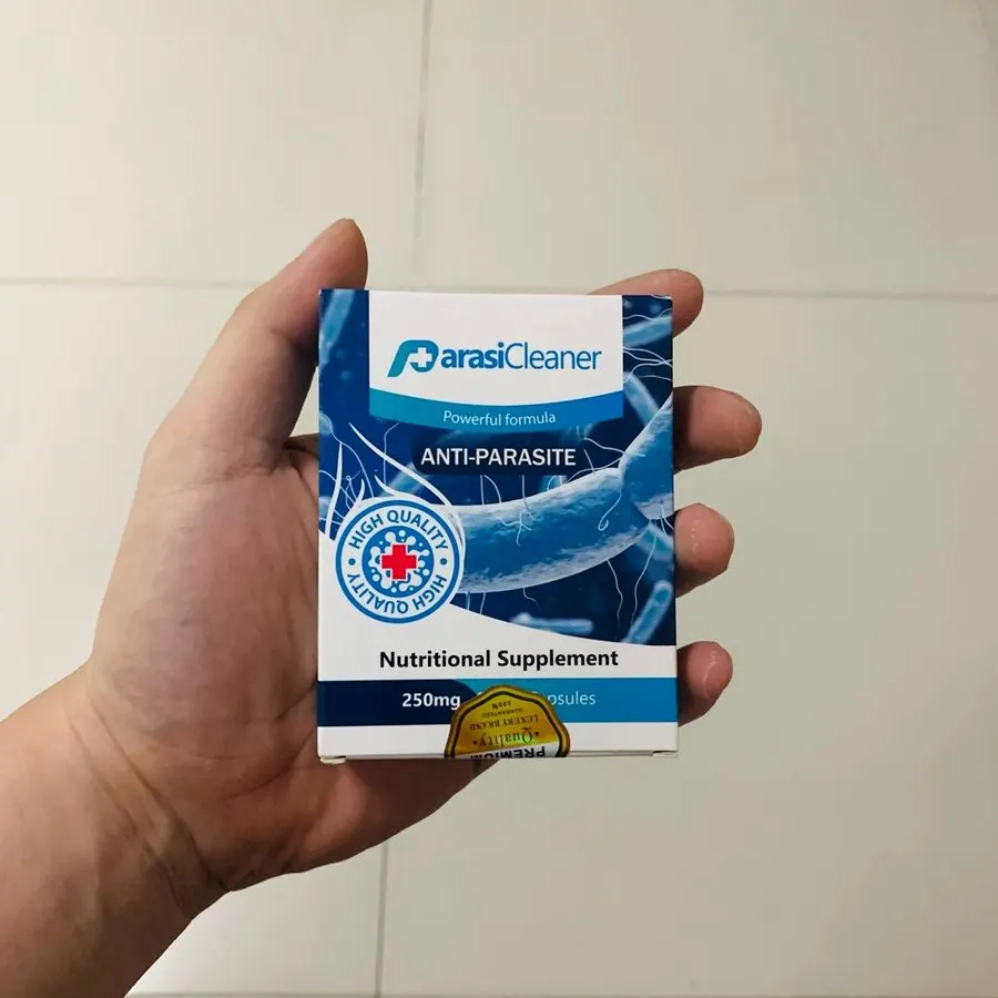 Parasi Cleaner — snapshot 2