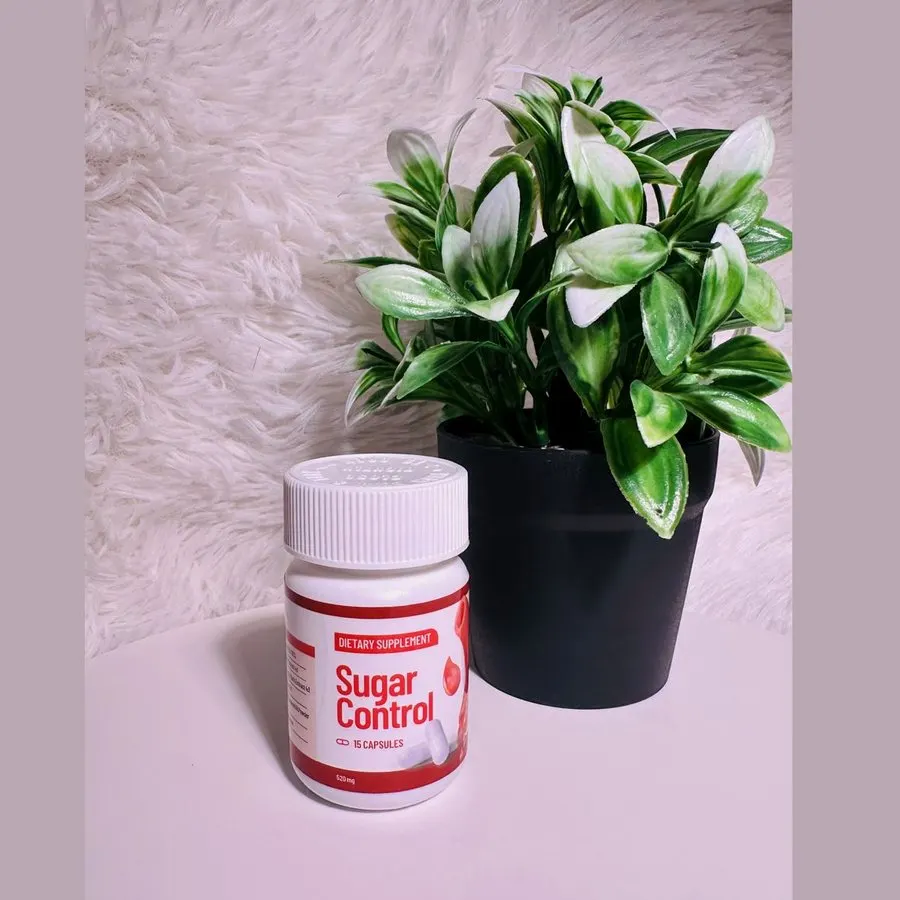 Sugar Control — snapshot 3
