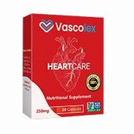 Vascolex — snapshot 1