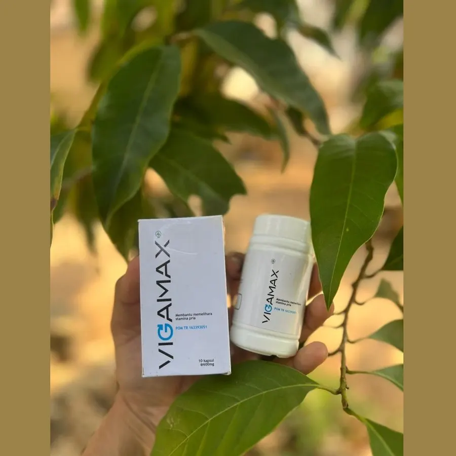 Vigamax — gambar
