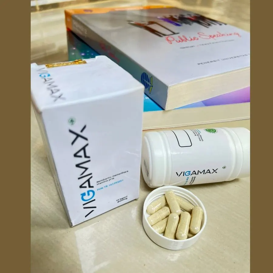 Vigamax — gambar 1