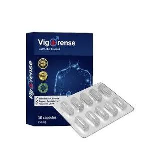 Vigorense — snapshot 1