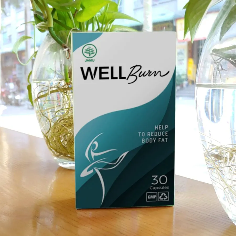 WellBurn — gambar 1